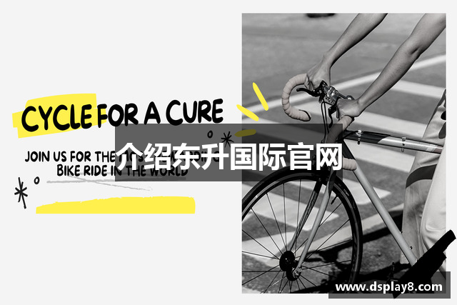 介绍东升国际官网